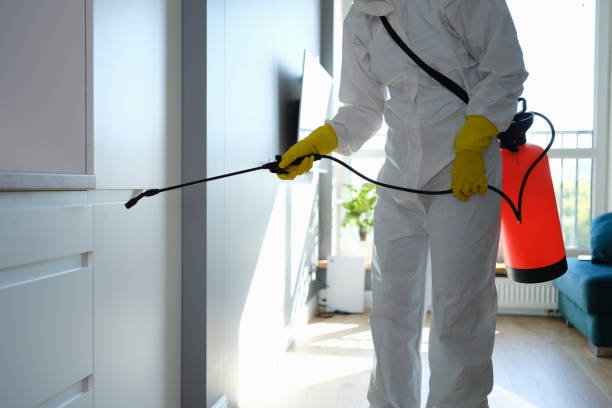 Best Crawl Space Mold Remediation  in East Pepperell, MA