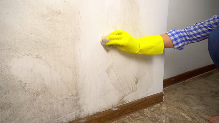 Best Emergency Mold Remediation  in East Pepperell, MA