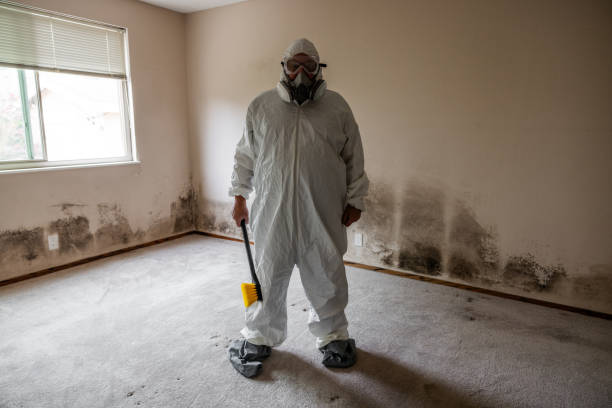 Best Comprehensive Air Testing for Mold Contaminants  in East Pepperell, MA