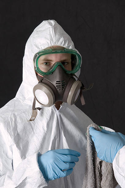 Best Attic Mold Removal  in East Pepperell, MA